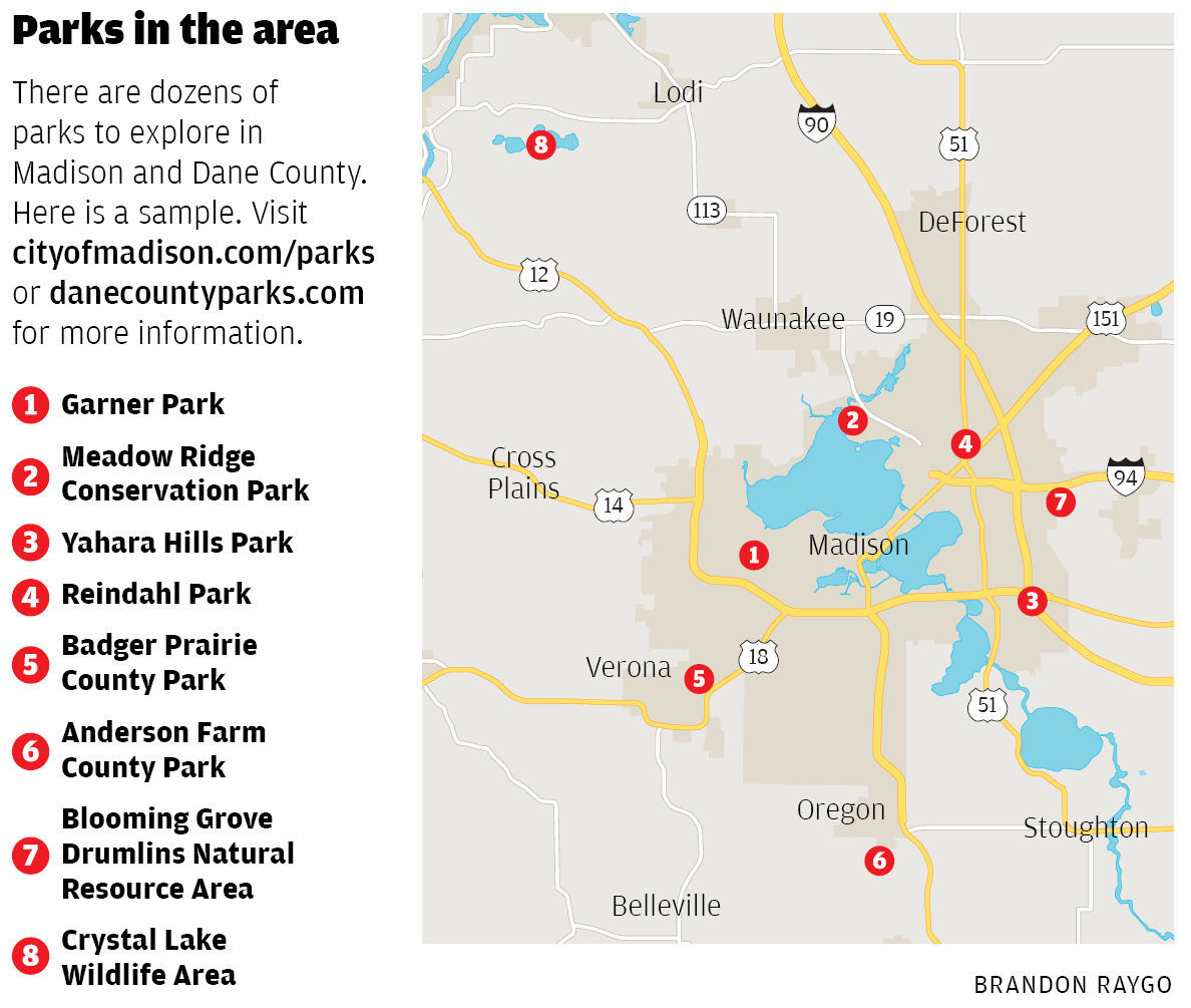 Park Graphic 021721